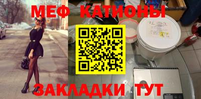 индика Камышлов