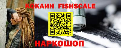 индика Камышлов