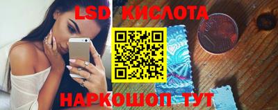 индика Камышлов
