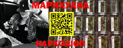 индика Камышлов