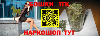 индика Камышлов