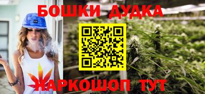 индика Камышлов