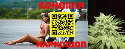 индика Камышлов