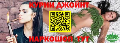 индика Камышлов