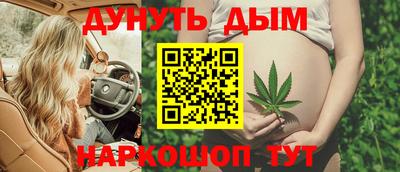 индика Камышлов
