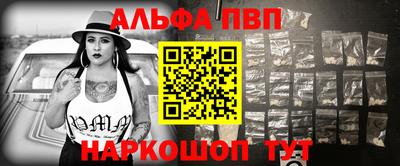 индика Камышлов