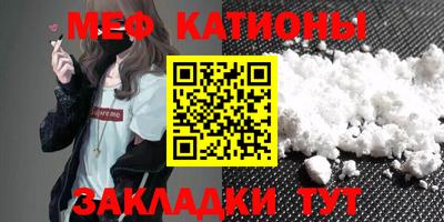 индика Камышлов